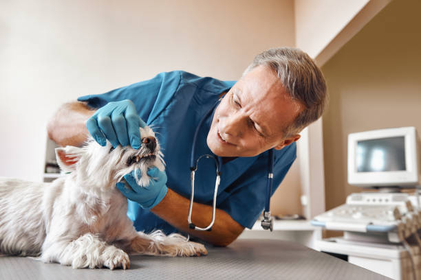 Best Pediatric Emergency Dentist in Pampa, TX